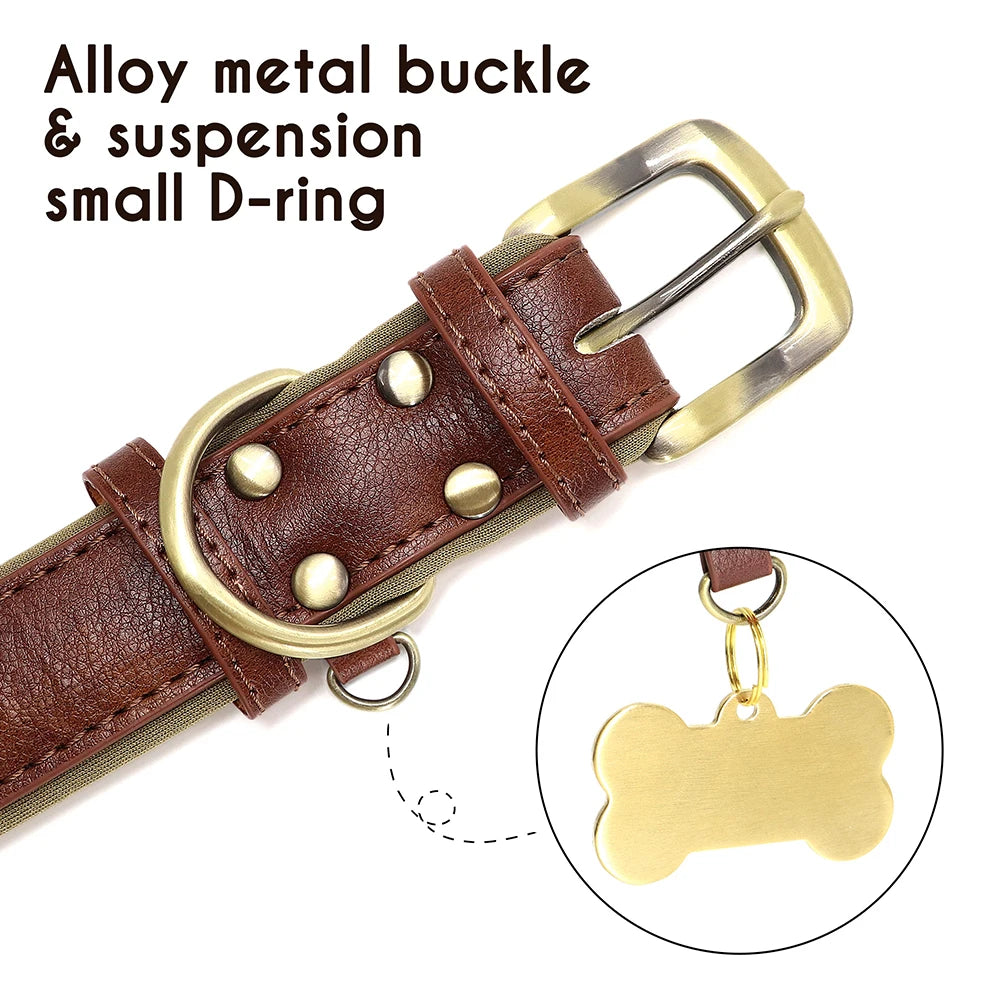 Boucle métallique solide et anneau en D du collier Pitouly