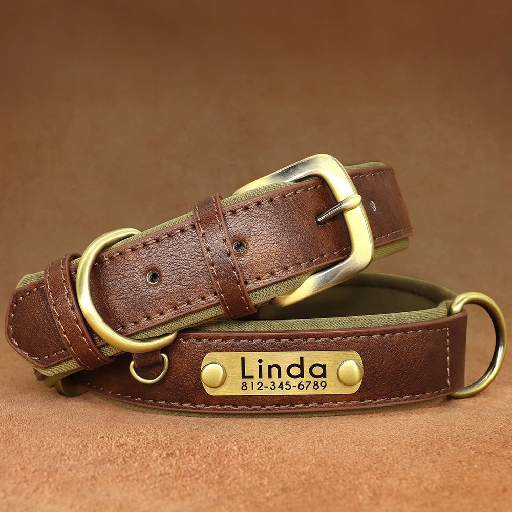 Collier personnalisé en cuir marron pour chien avec gravure laiton prénom et numéro