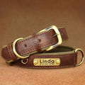 Collier personnalisé en cuir marron pour chien avec gravure laiton prénom et numéro