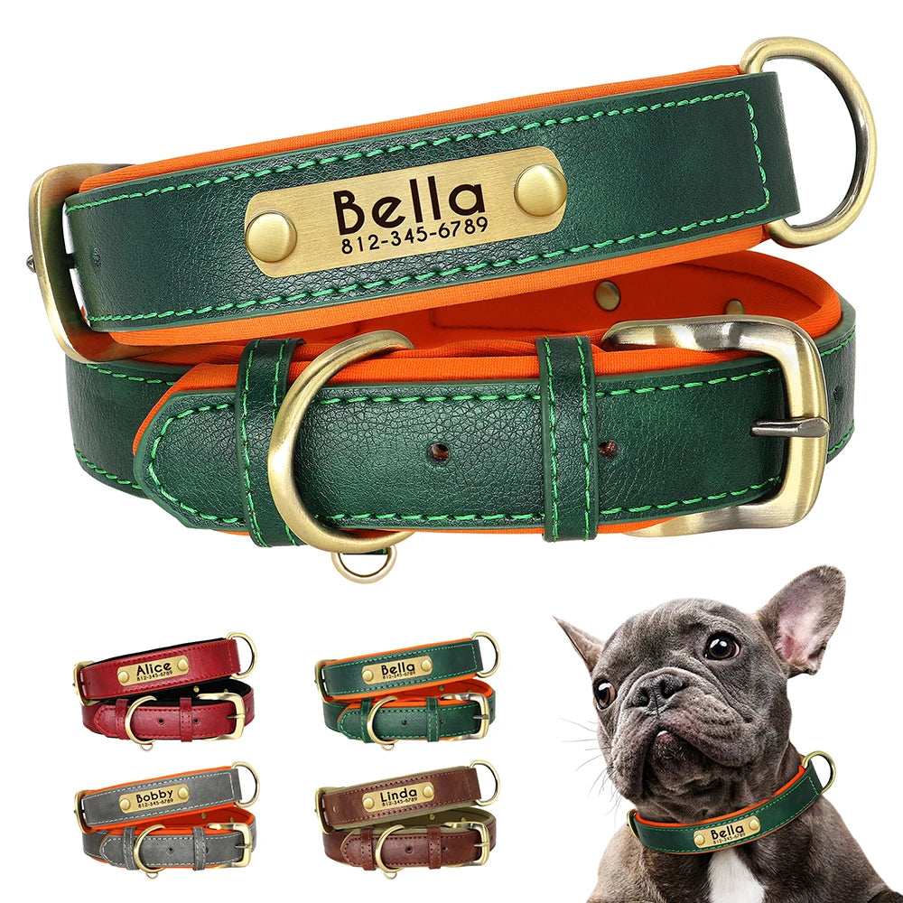 Tous les coloris du collier Pitouly personnalisé présentés avec un bouledogue français