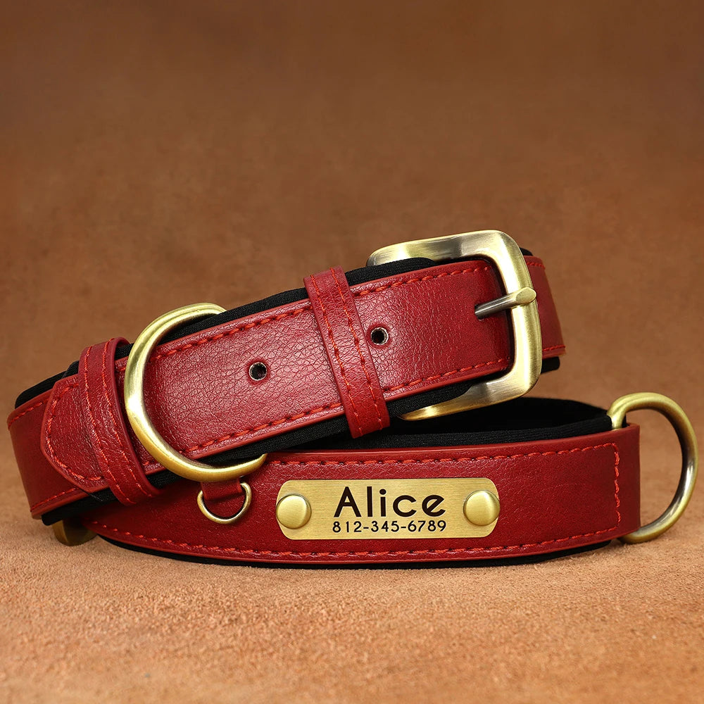 Collier personnalisé en cuir rouge pour chien avec gravure laiton prénom et numéro