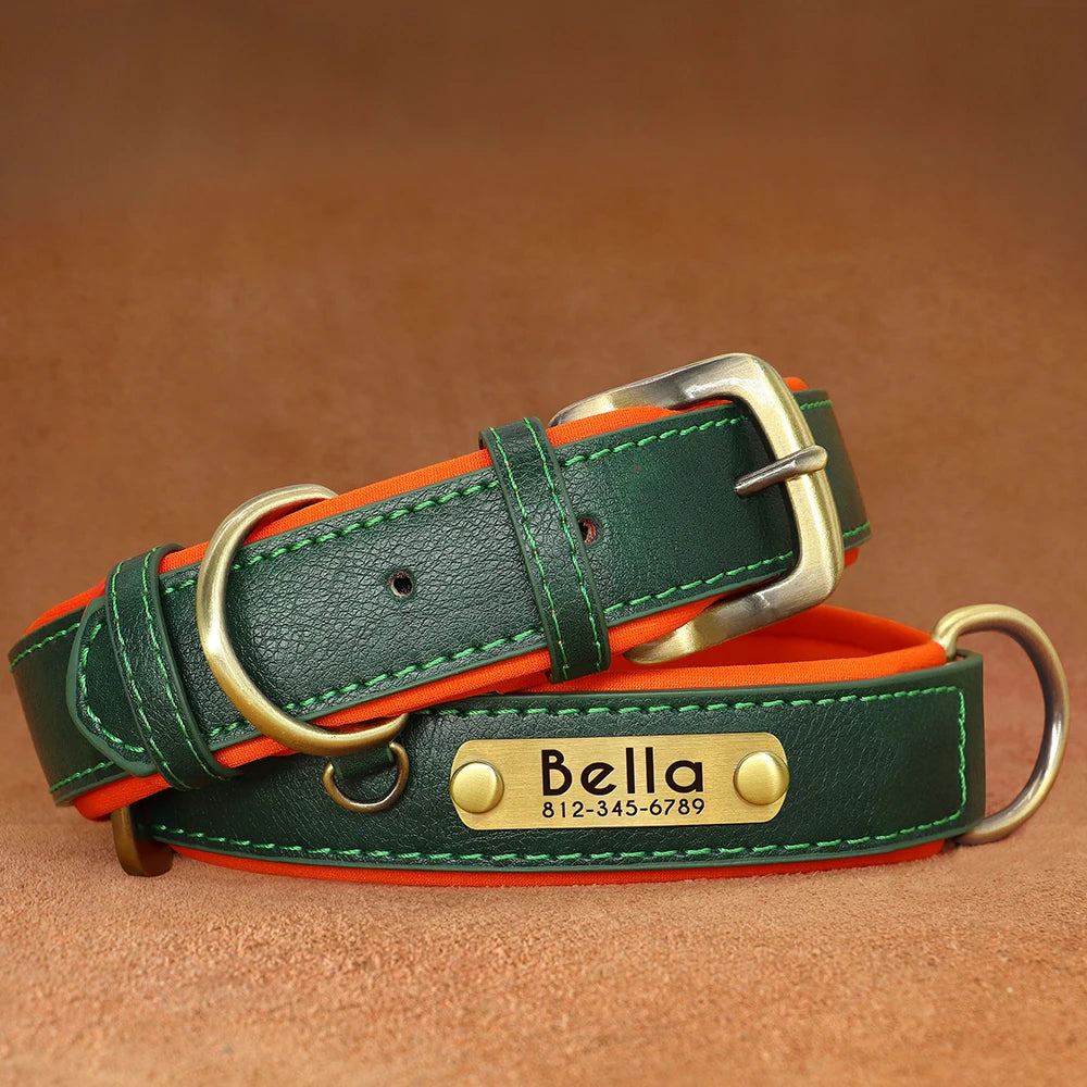 Collier personnalisé en cuir vert pour chien avec gravure laiton prénom et numéro