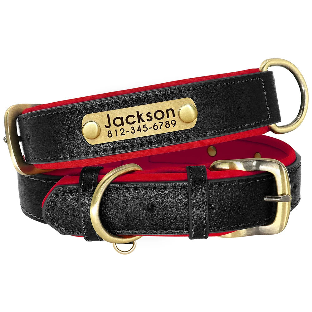 Collier personnalisé en cuir noir pour chien avec gravure laiton prénom et numéro